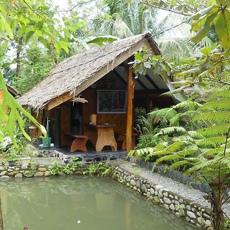 Magpie Homestay & Jungle Trekking Especially For Guest Trekking With Us Букит Лаванг Екстериор снимка