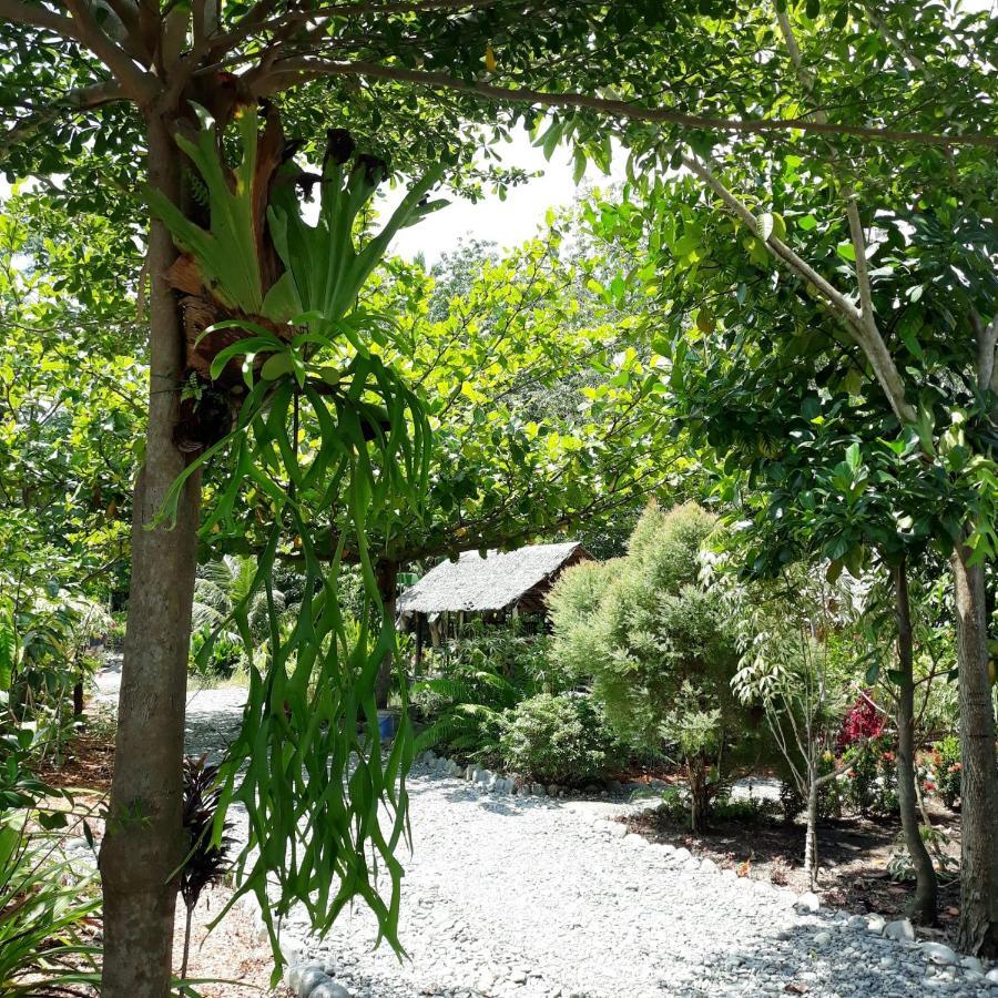 Magpie Homestay & Jungle Trekking Especially For Guest Trekking With Us Букит Лаванг Екстериор снимка