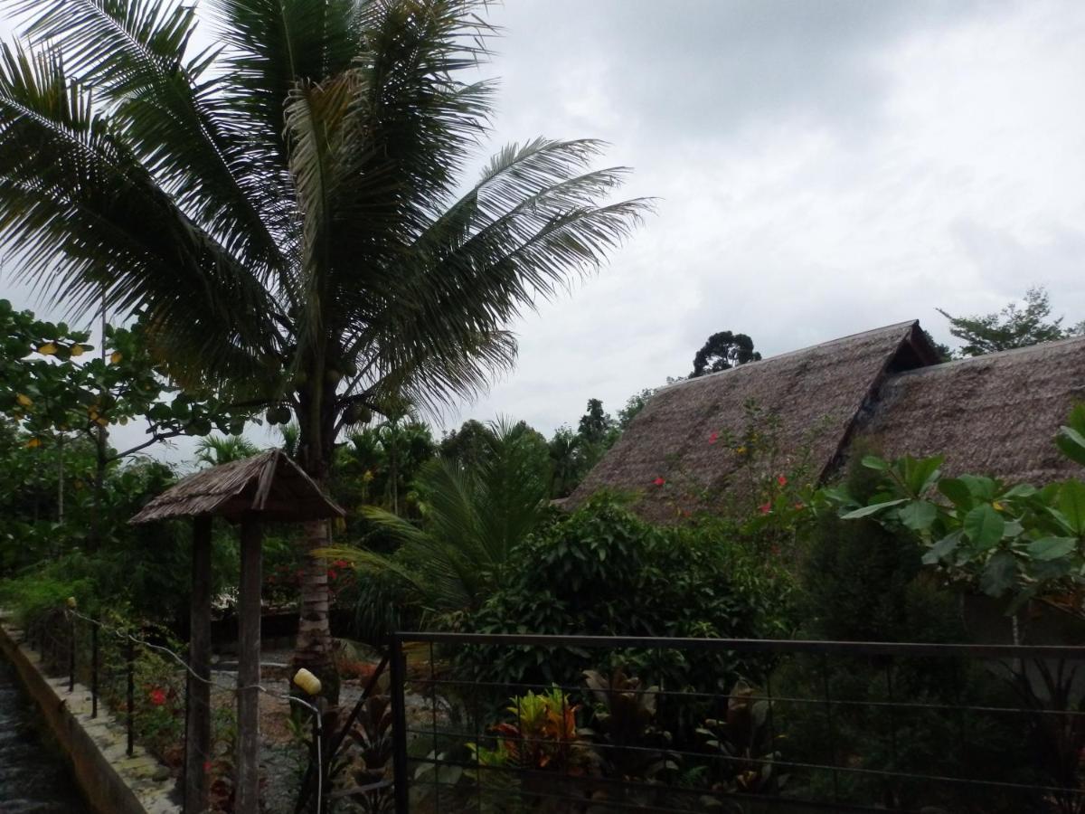 Magpie Homestay & Jungle Trekking Especially For Guest Trekking With Us Букит Лаванг Екстериор снимка