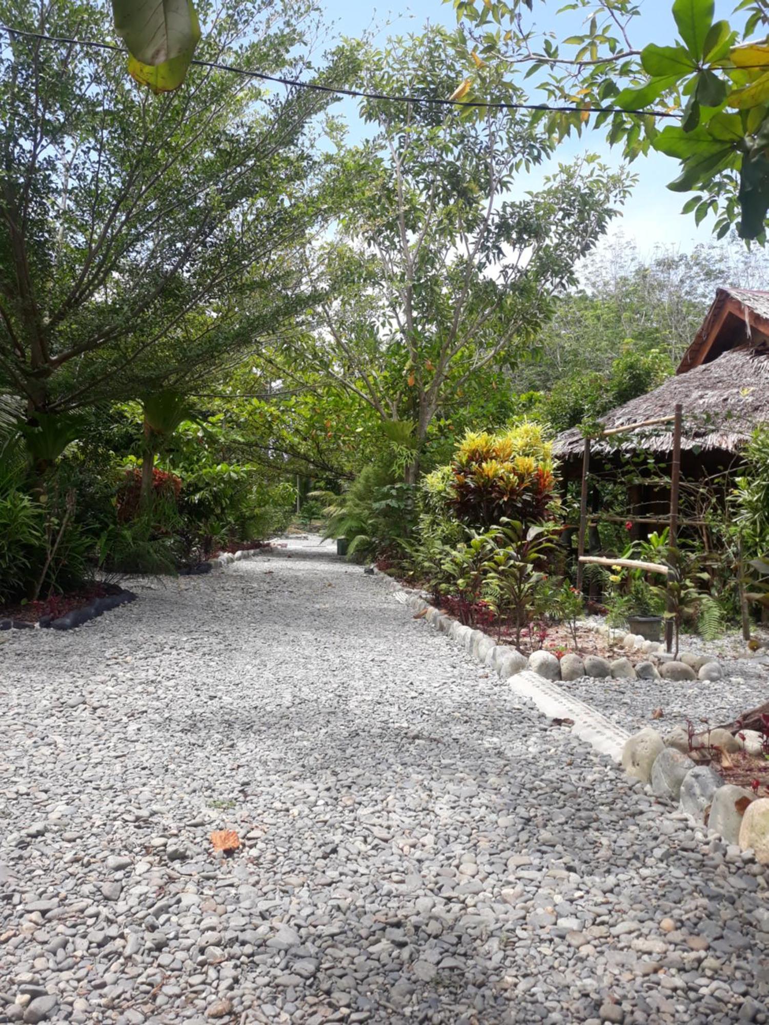 Magpie Homestay & Jungle Trekking Especially For Guest Trekking With Us Букит Лаванг Екстериор снимка