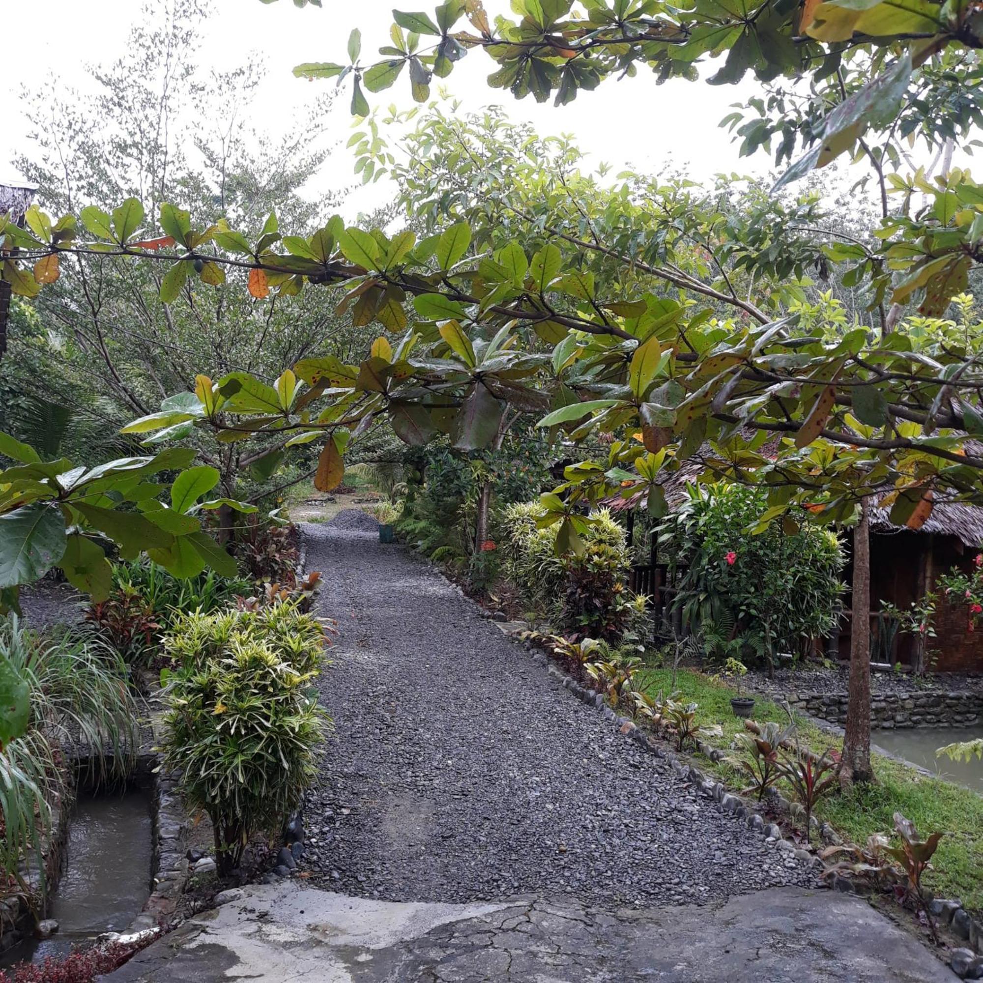 Magpie Homestay & Jungle Trekking Especially For Guest Trekking With Us Букит Лаванг Стая снимка