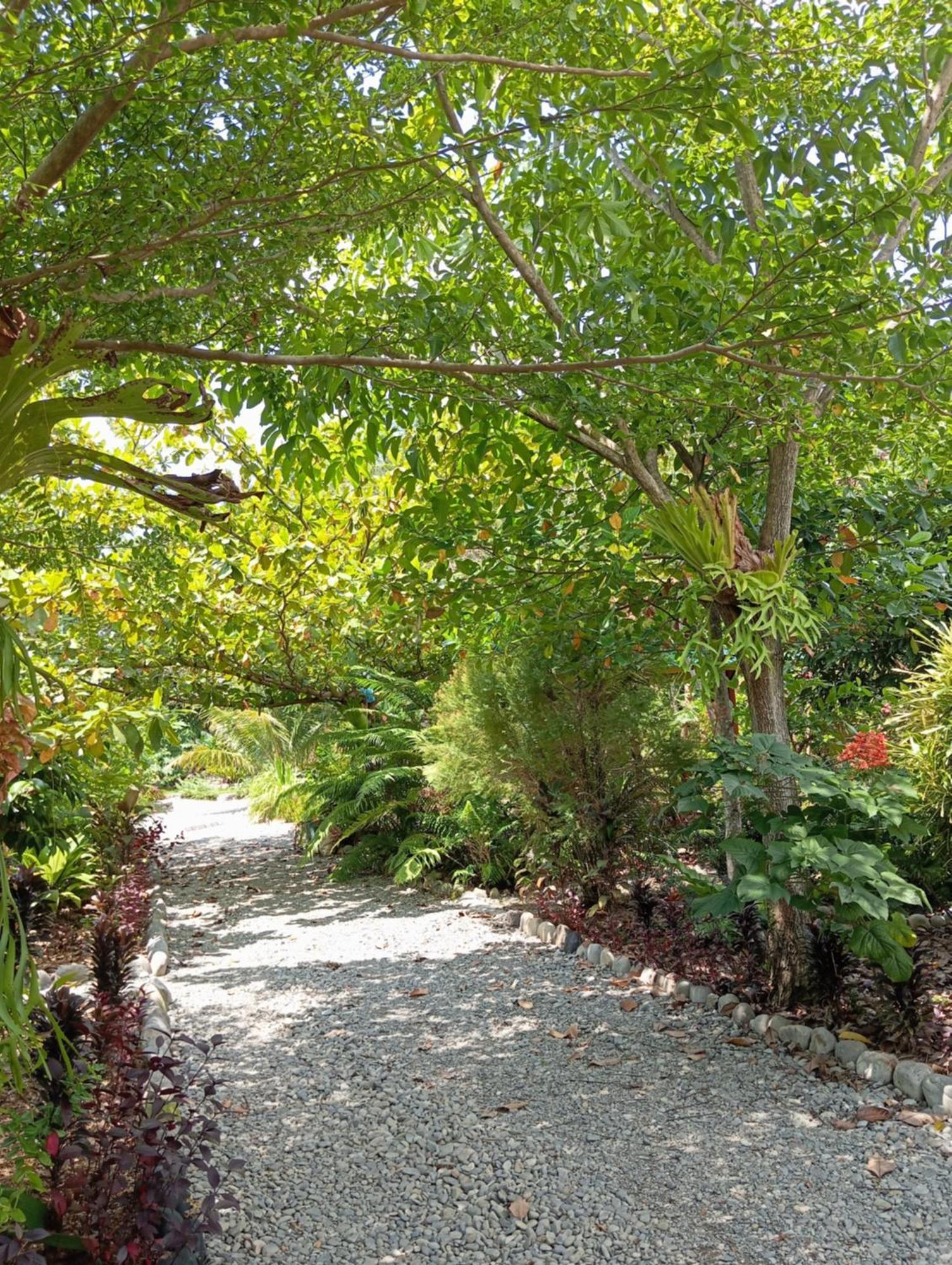 Magpie Homestay & Jungle Trekking Especially For Guest Trekking With Us Букит Лаванг Екстериор снимка
