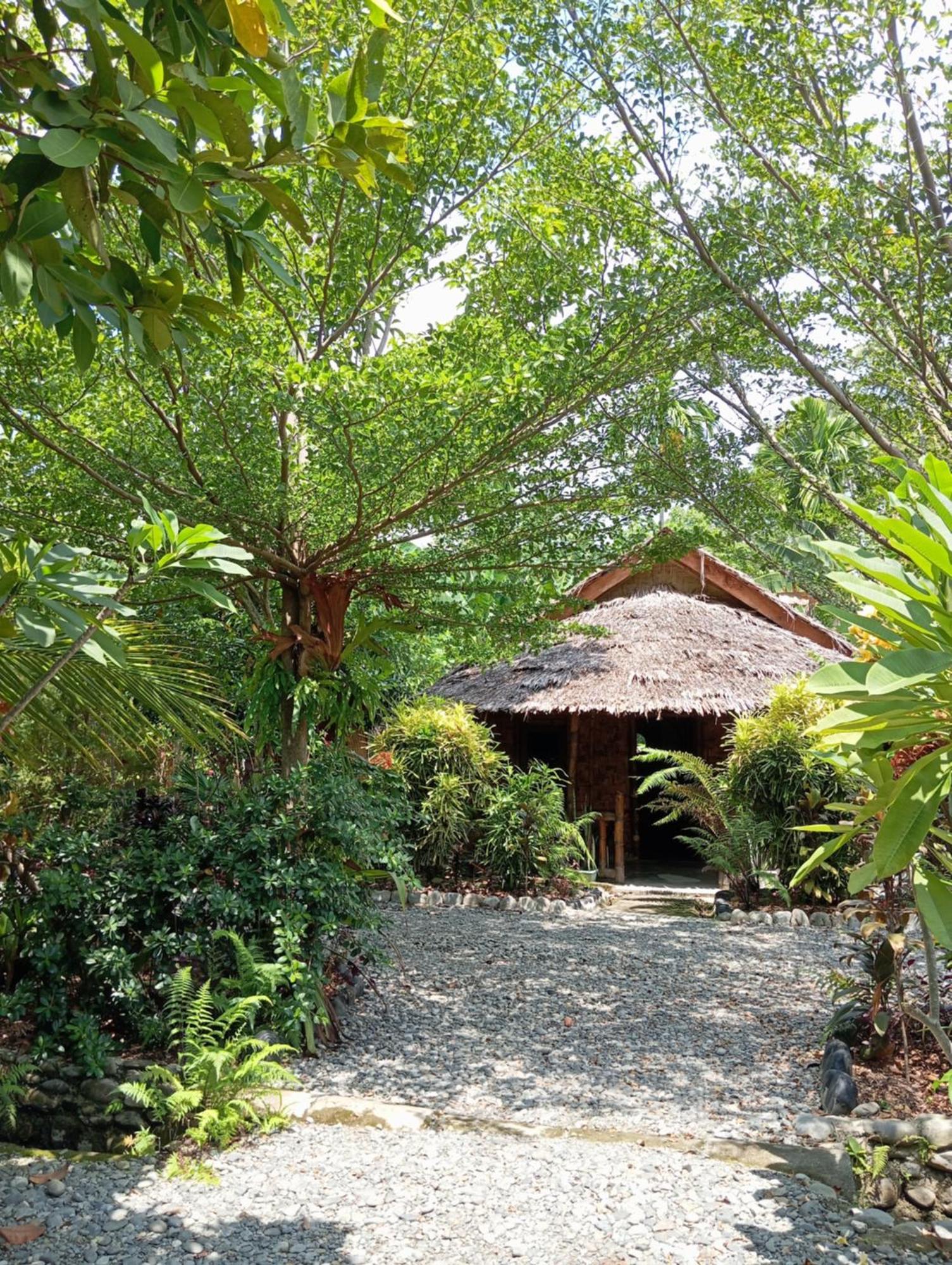 Magpie Homestay & Jungle Trekking Especially For Guest Trekking With Us Букит Лаванг Екстериор снимка