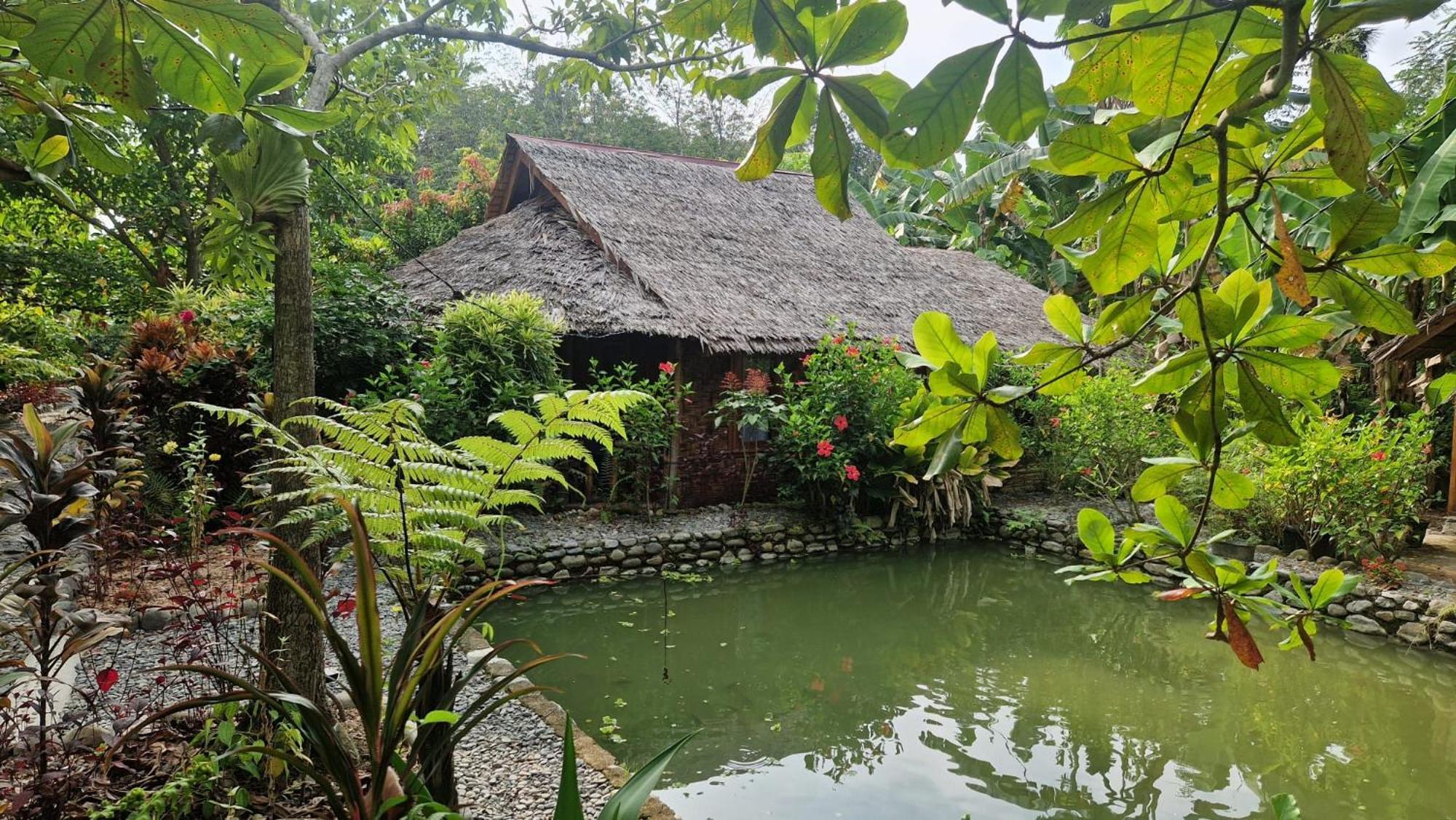 Magpie Homestay & Jungle Trekking Especially For Guest Trekking With Us Букит Лаванг Екстериор снимка