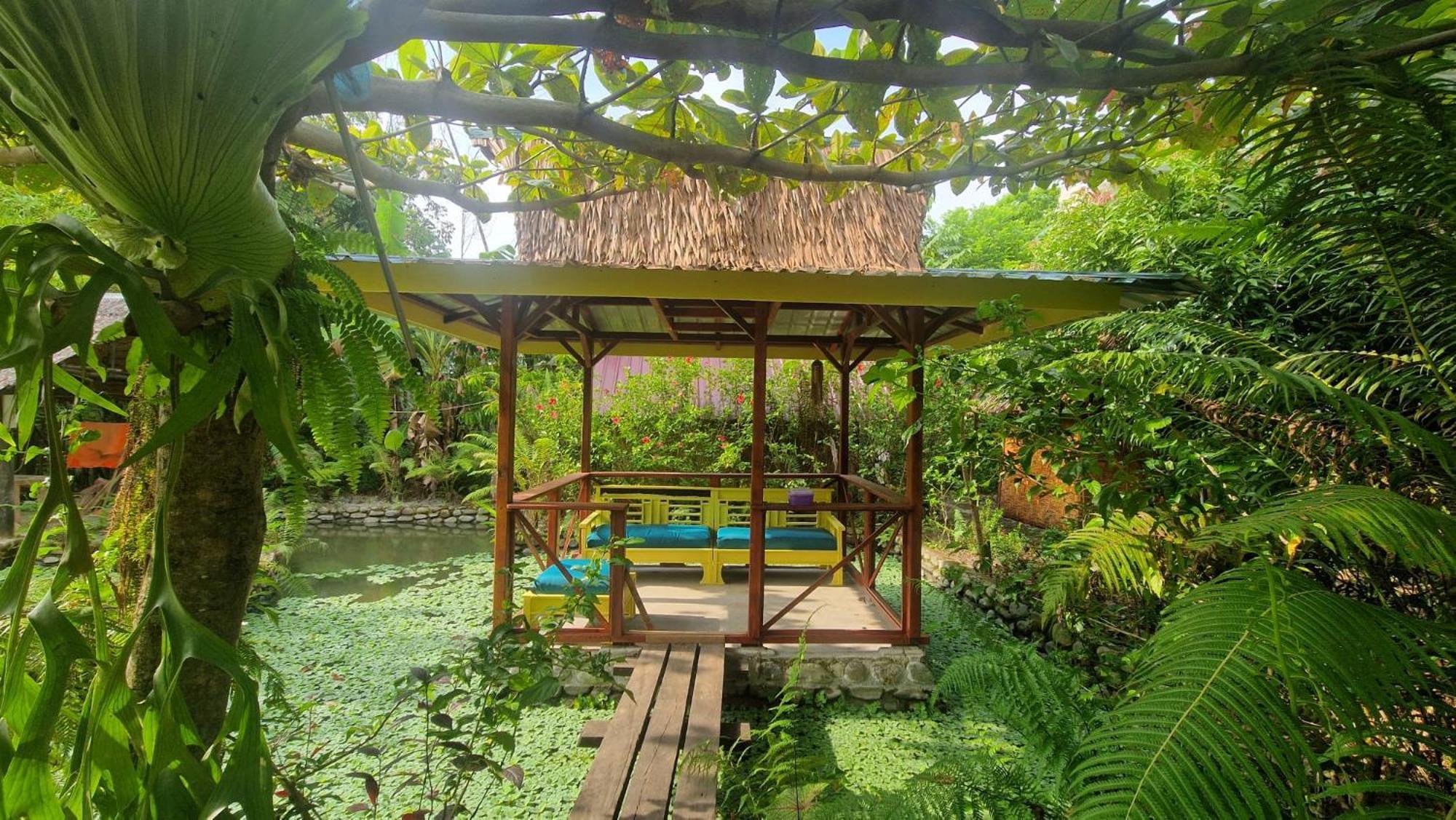 Magpie Homestay & Jungle Trekking Especially For Guest Trekking With Us Букит Лаванг Екстериор снимка