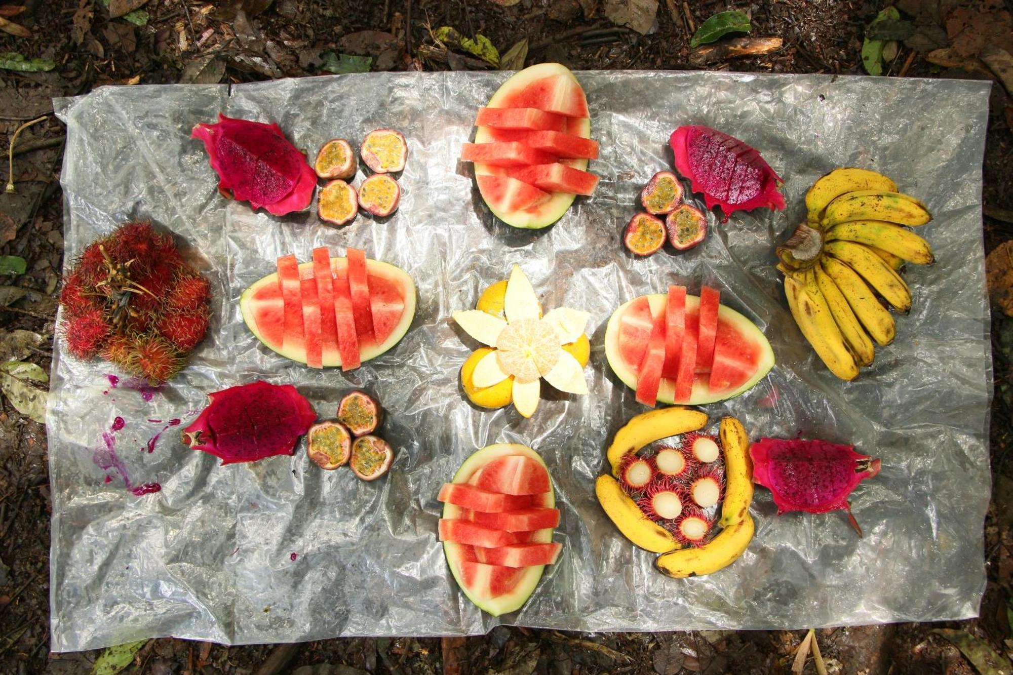 Magpie Homestay & Jungle Trekking Especially For Guest Trekking With Us Букит Лаванг Екстериор снимка