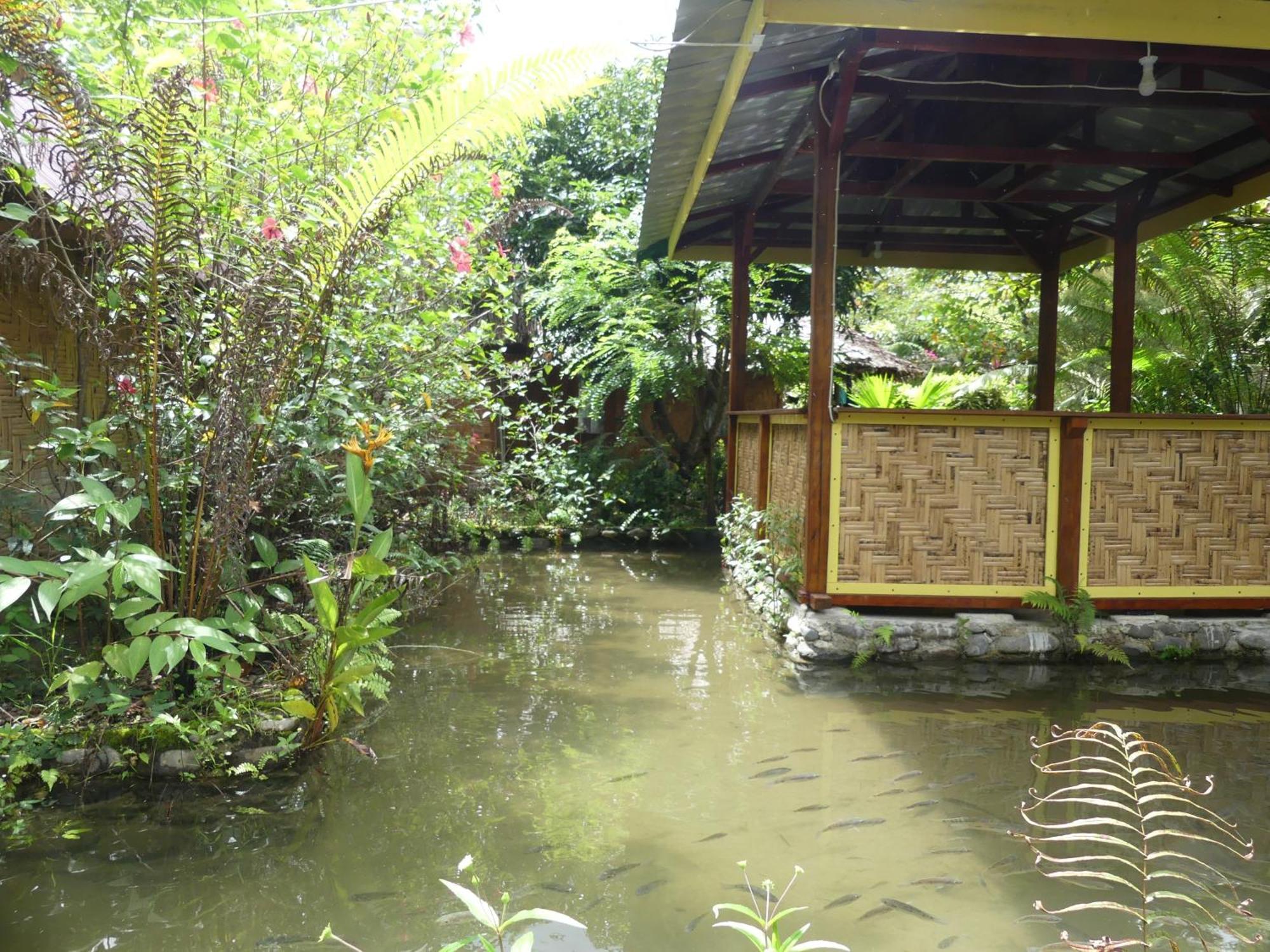 Magpie Homestay & Jungle Trekking Especially For Guest Trekking With Us Букит Лаванг Стая снимка