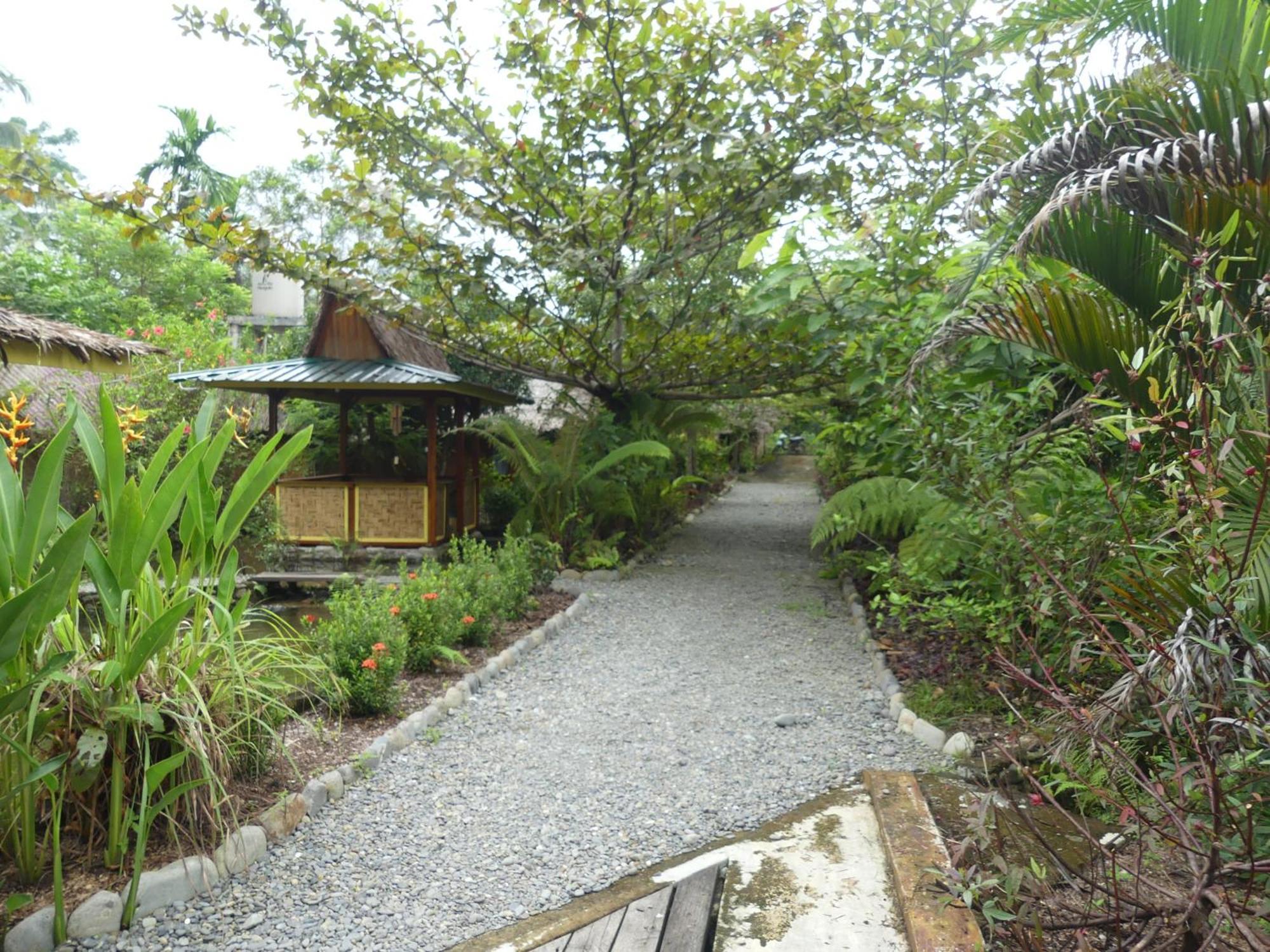 Magpie Homestay & Jungle Trekking Especially For Guest Trekking With Us Букит Лаванг Стая снимка