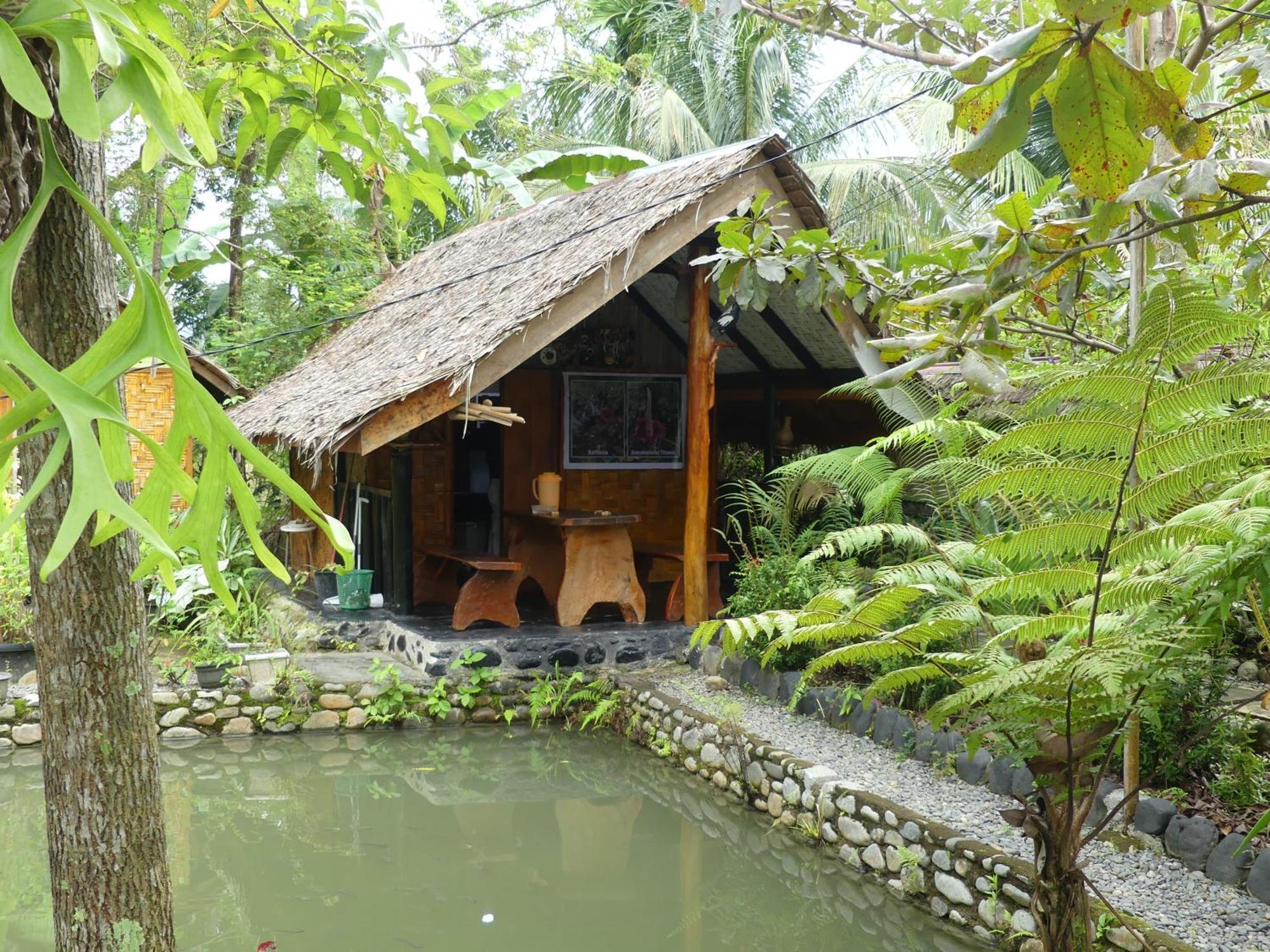 Magpie Homestay & Jungle Trekking Especially For Guest Trekking With Us Букит Лаванг Екстериор снимка